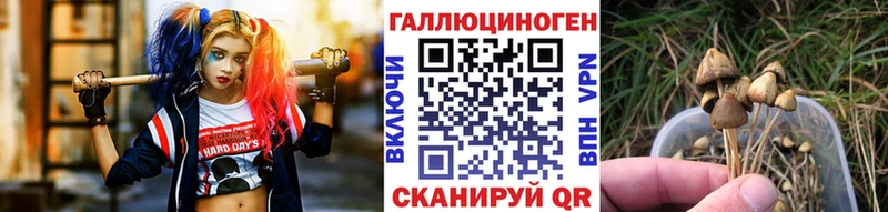 купить наркоту  Нижний Ломов  это Telegram  Галлюциногенные грибы Magic Shrooms 